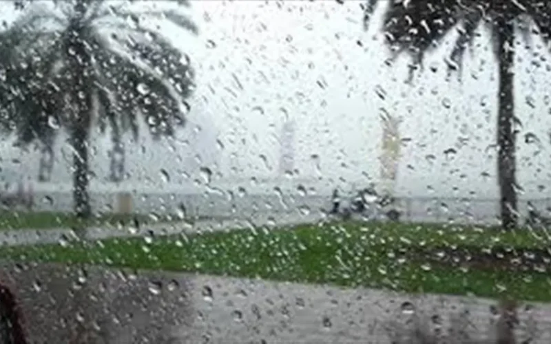 هيئة الأرصاد تحذر: ضباب كثيف يقلل الرؤية الأفقية على الطرق غدًا